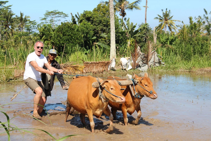 rural balinese life