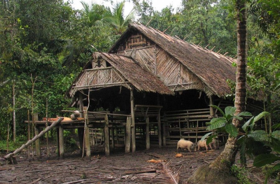 mentawai tribe house
