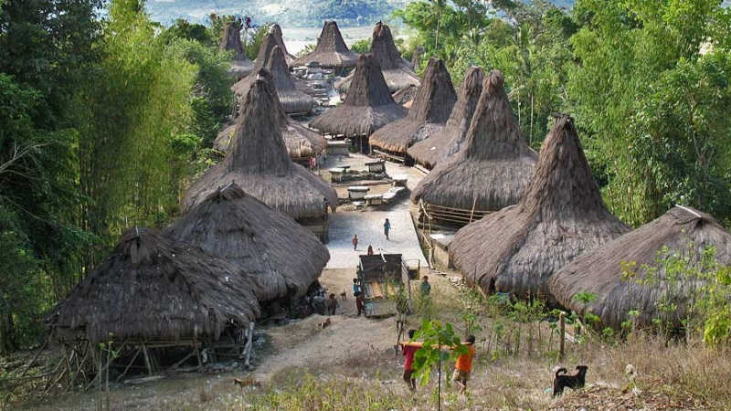 tarung village in waikabubak area