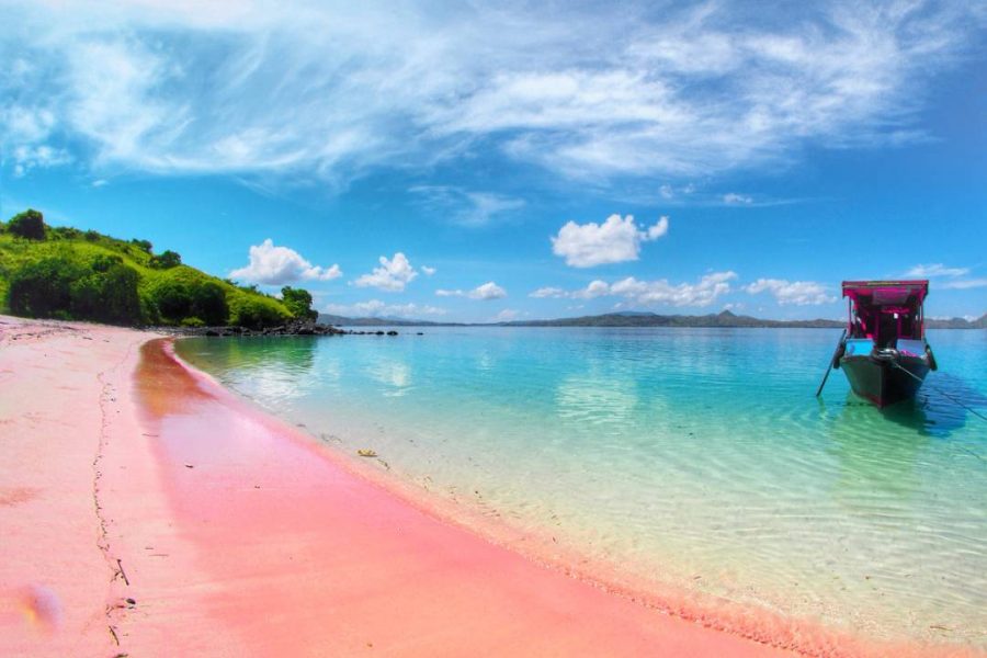 pink-beach-flores