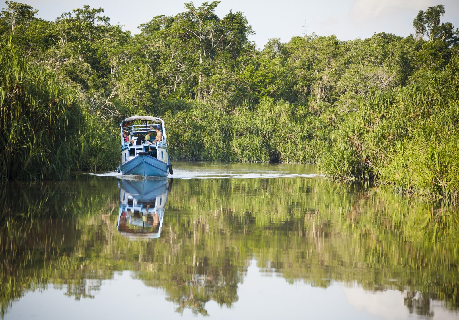 River Cruise Borneo