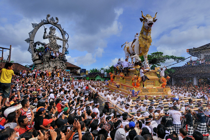 cremation ceremony in bali ngaben