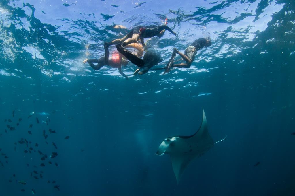 snorkeling with manta rays in nusa penida