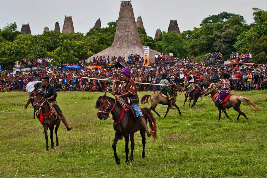 sumba pasola festival