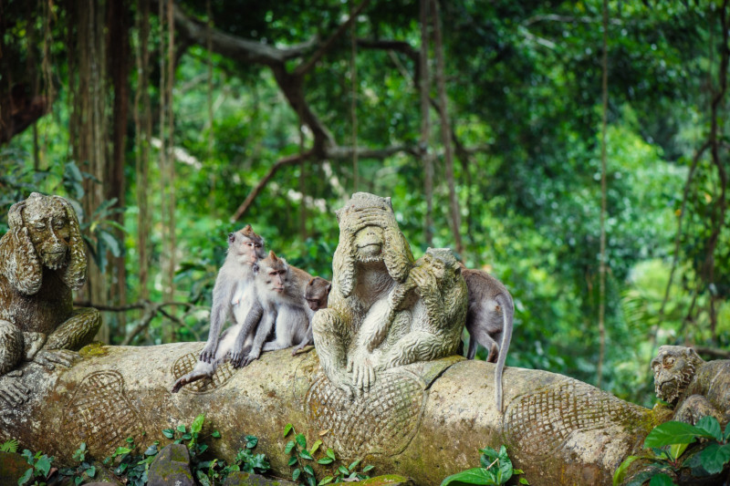 Monkey Forest Ubud