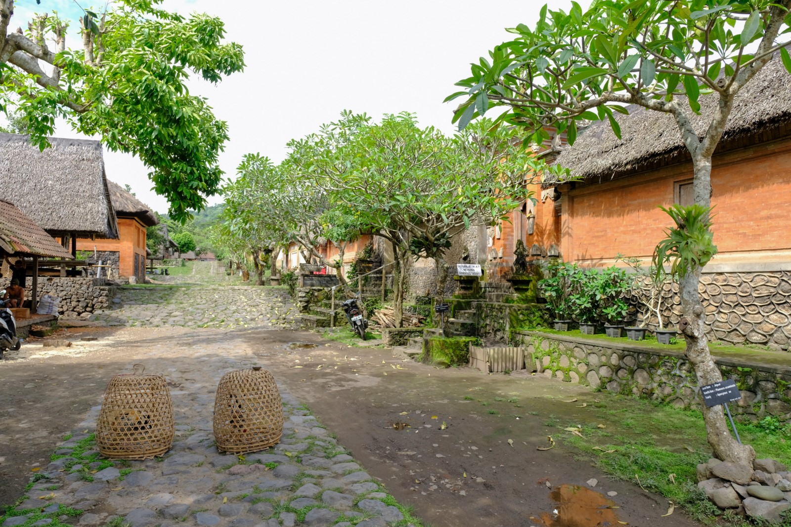 Tenganan Village Bali