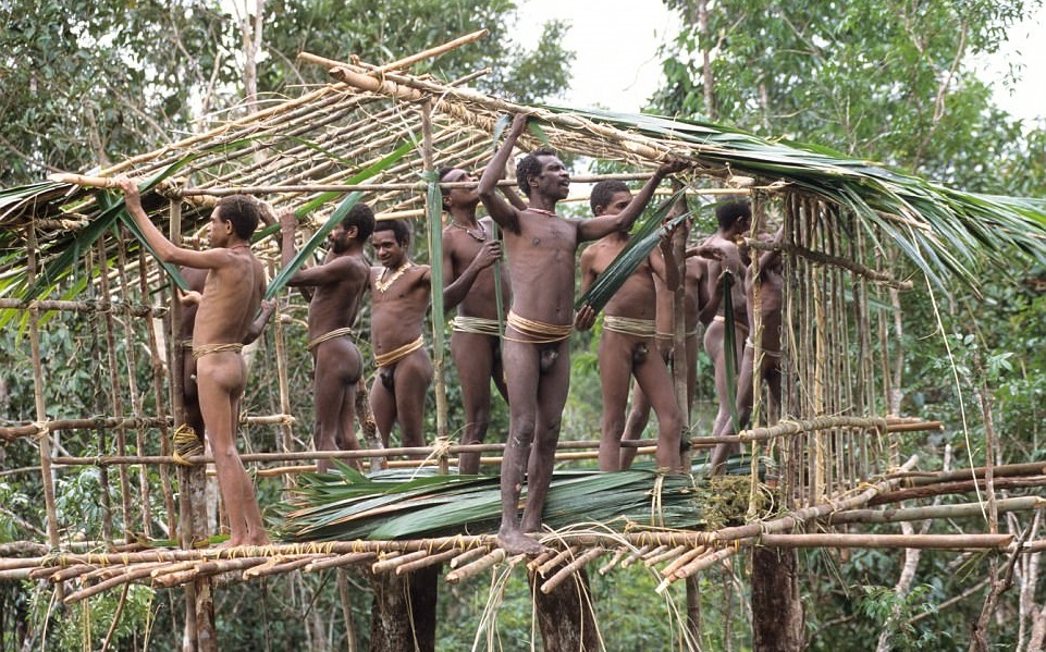 Korowai Tribe tree house