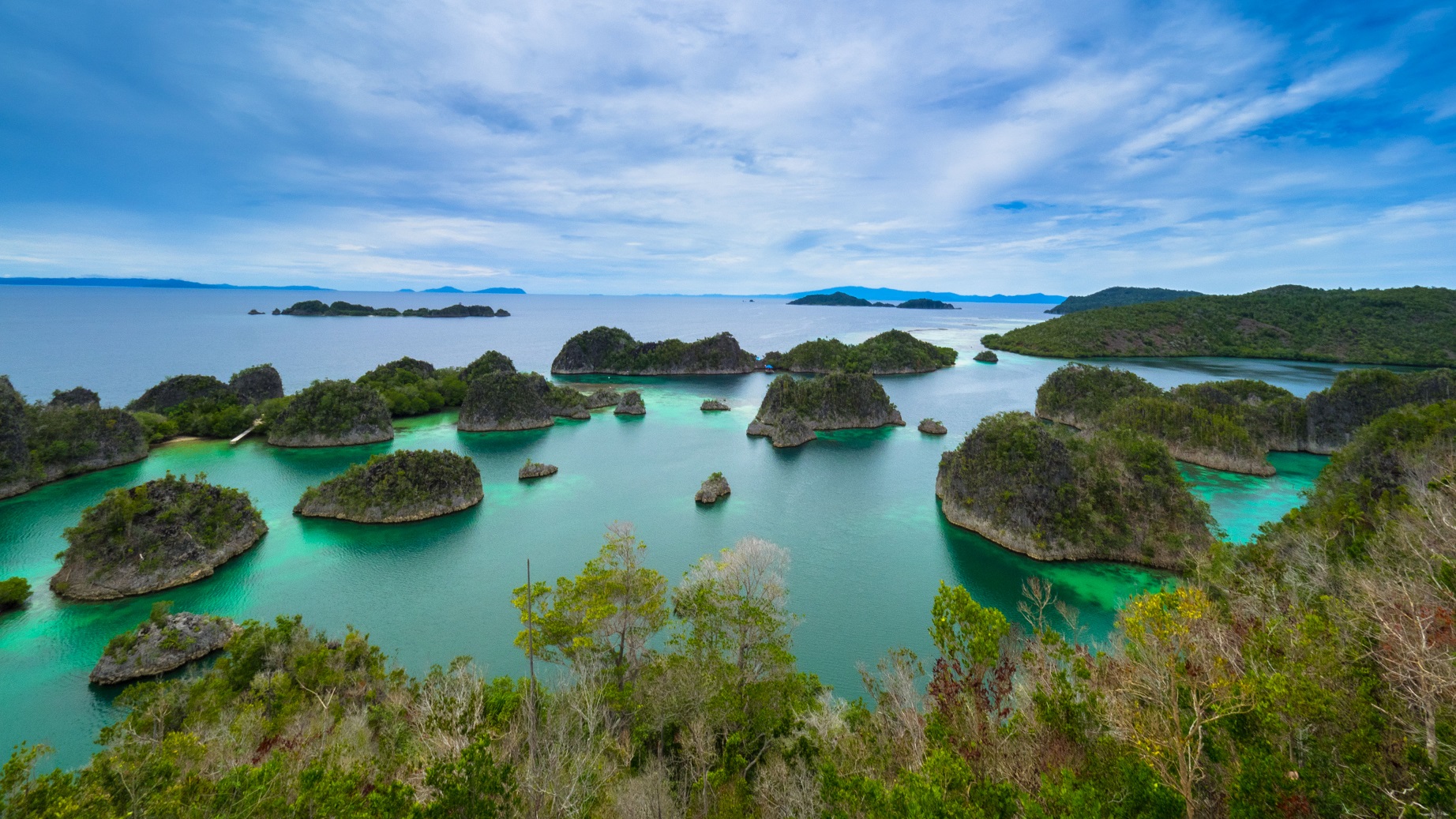 fam penemu island in raja ampat
