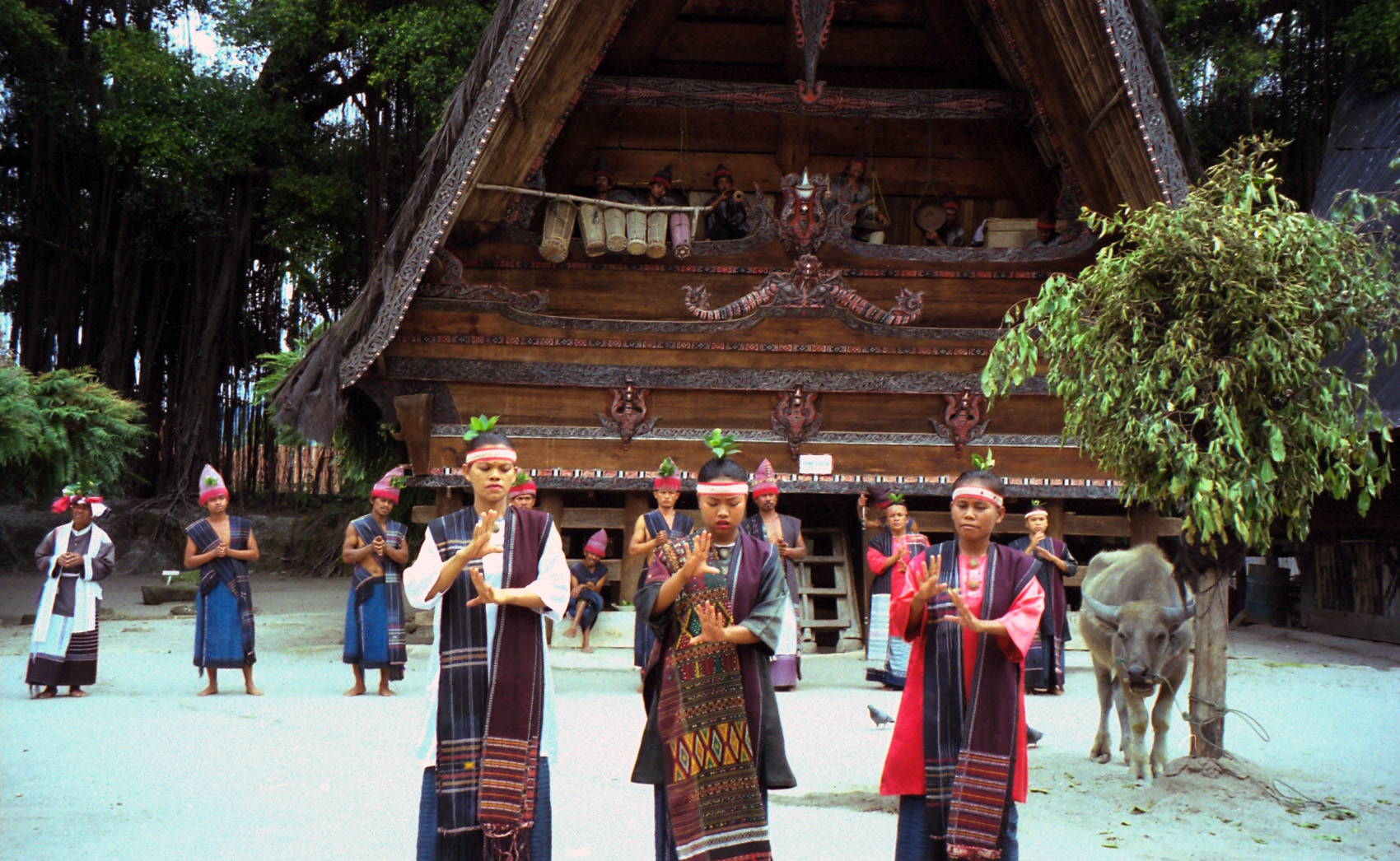 north sumatra batak tribe