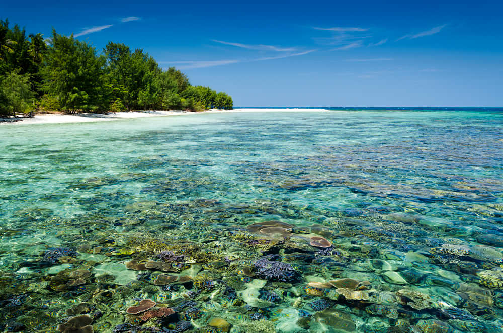 Karimunjawa National Park