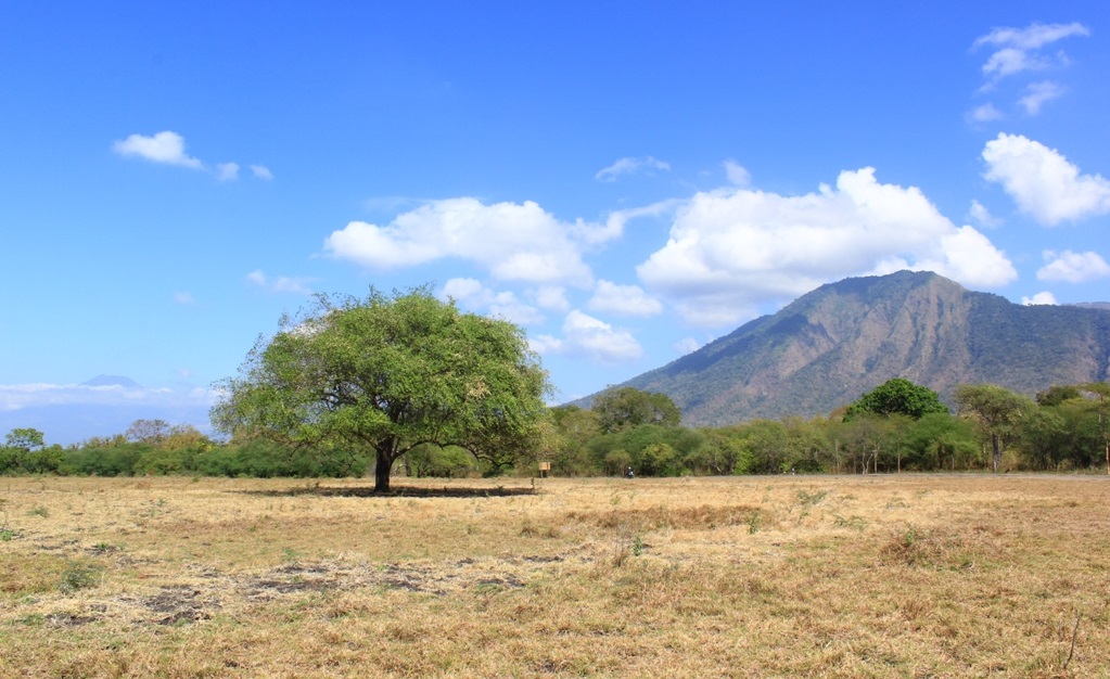 baluran-national-park