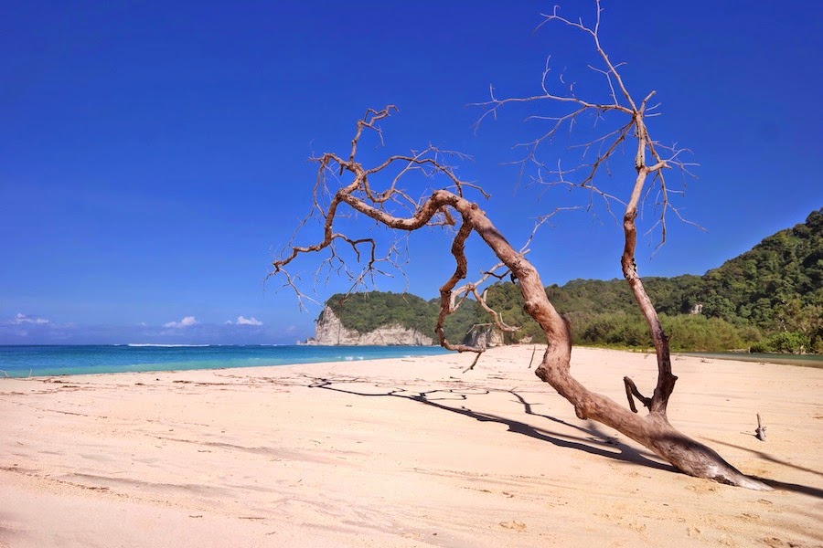 sumba Tarimbang Beach