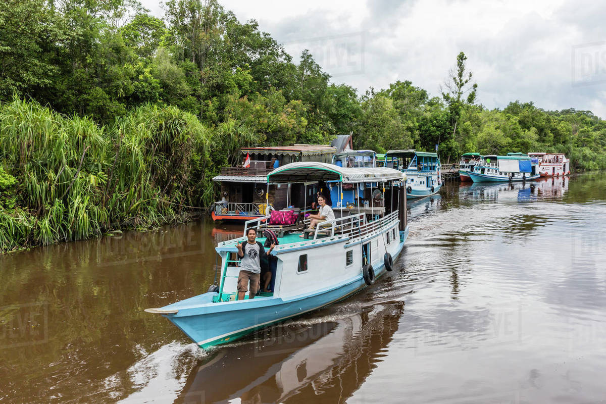Explore the Borneo Rainforest by Boat