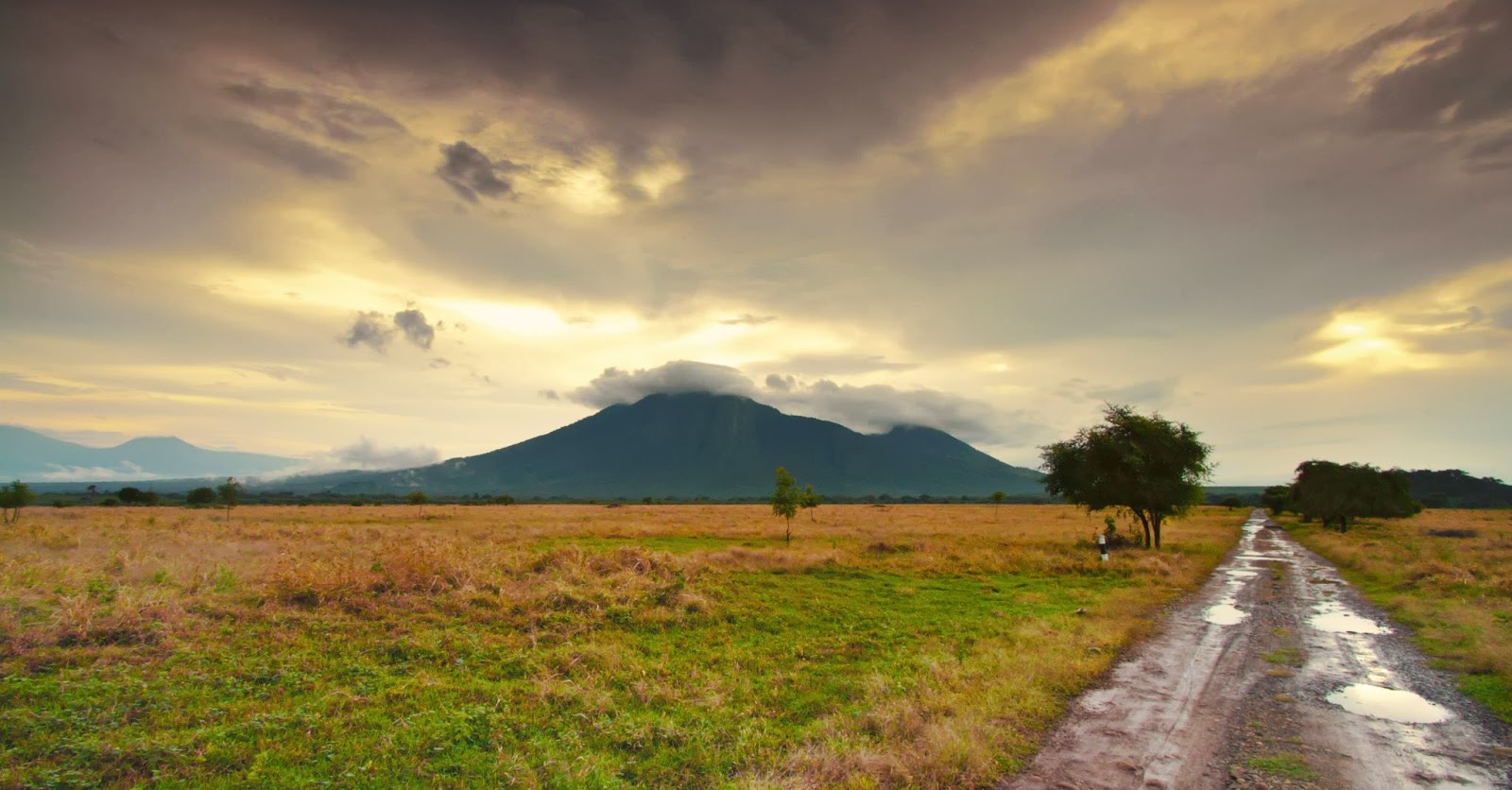 Baluran National Park, East Java
