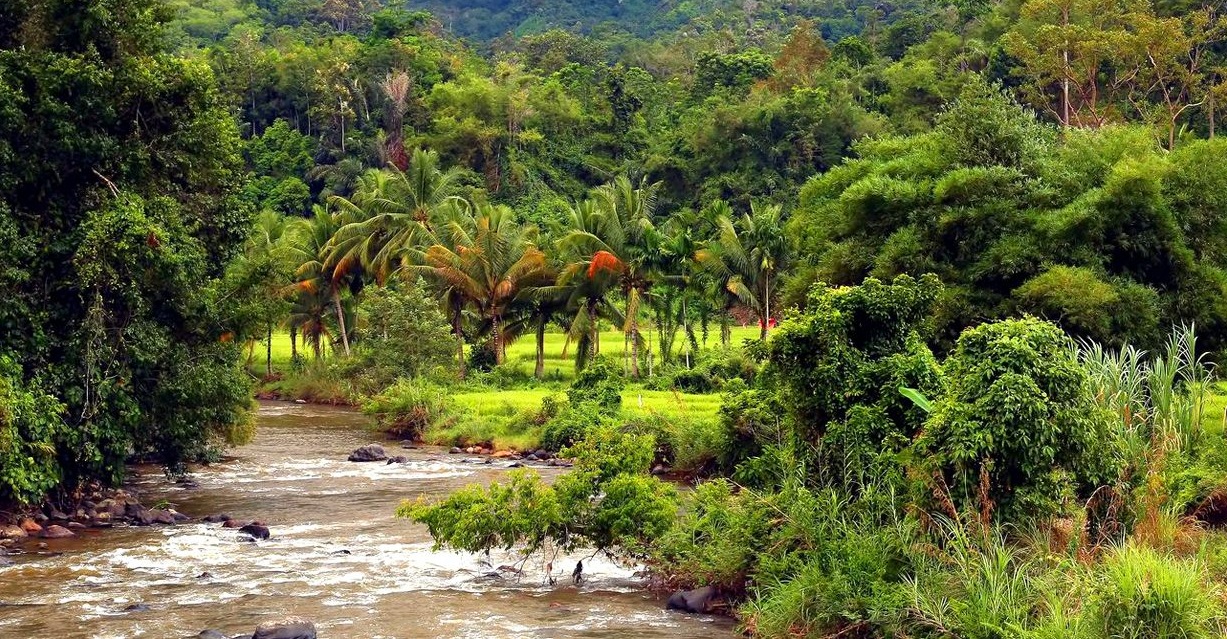 Bukit Barisan Selatan National Park