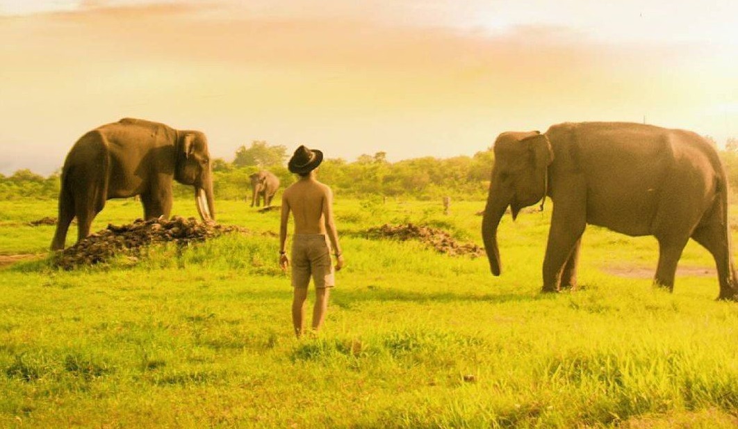 Indonesia wildlife in Way Kambas National Park
