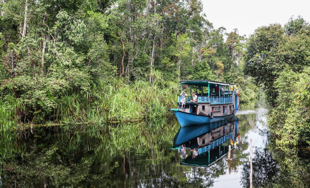 Tanjung Puting National Park, indonesia wildlife