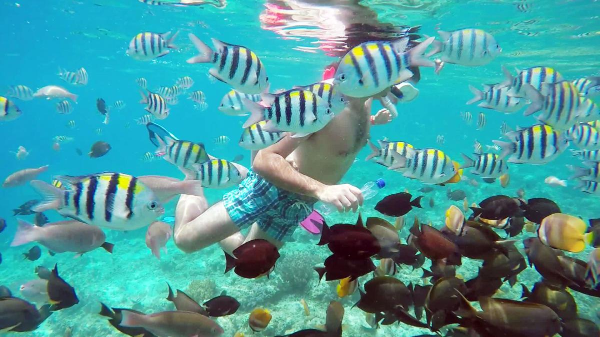 gili meno snorkeling