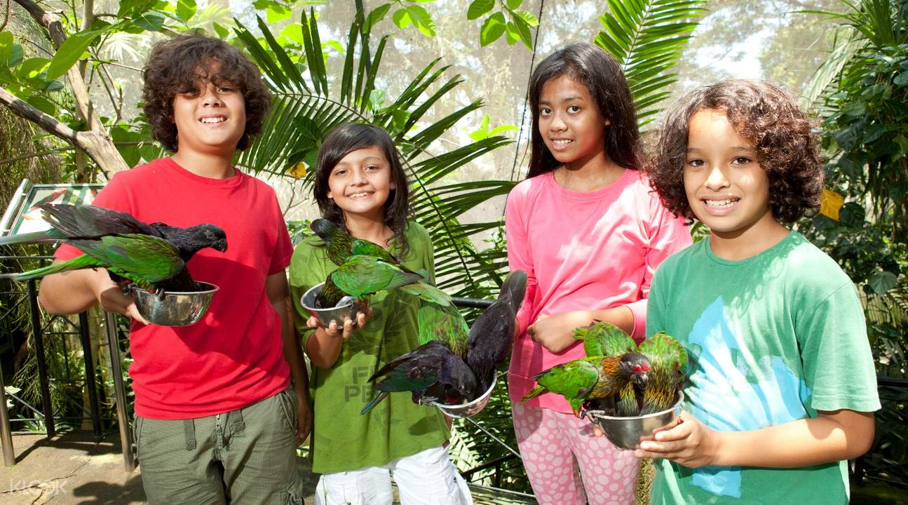 seeing bird at bali bird park