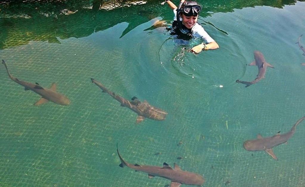 visit a conservation place for marine animals