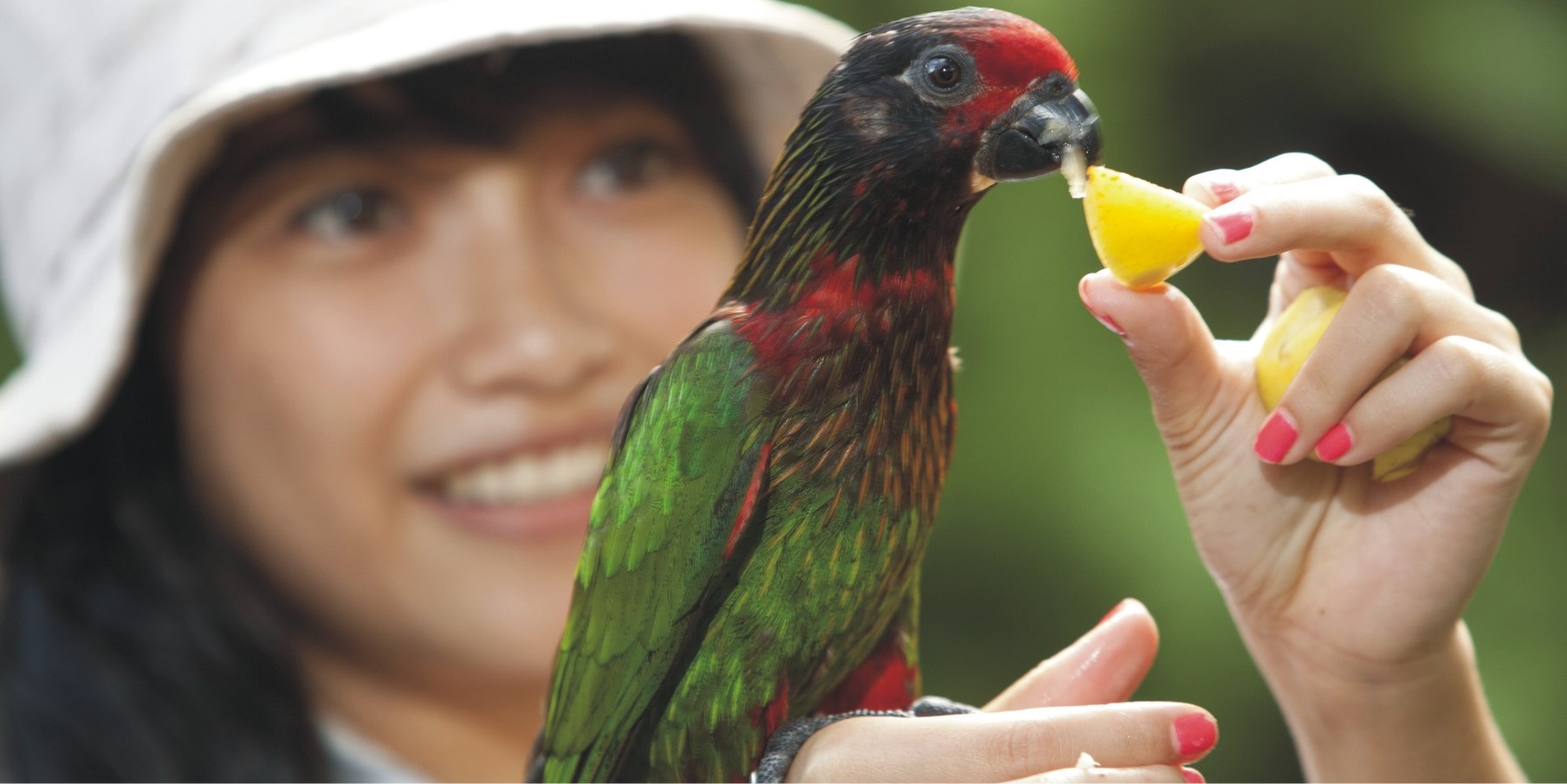 bali bird park zoo