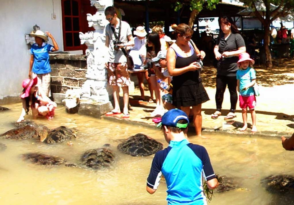 turtle island in tanjung benoa bali