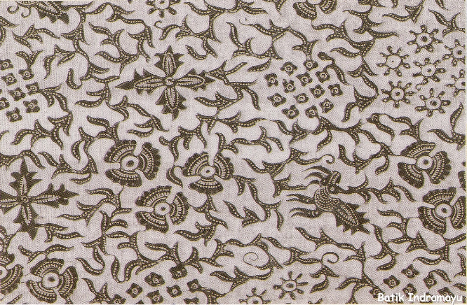 beautiful Indramayu Batik pattern