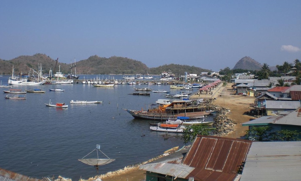 tips overland flores