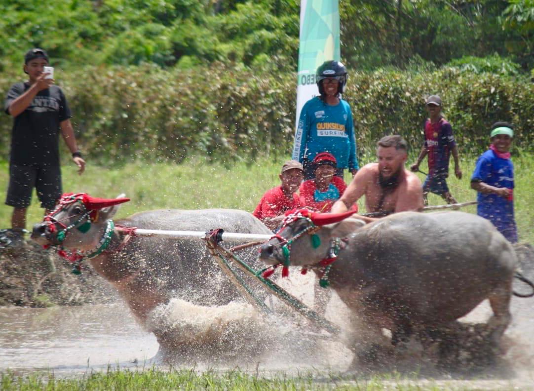 bull race competition in moyo festival