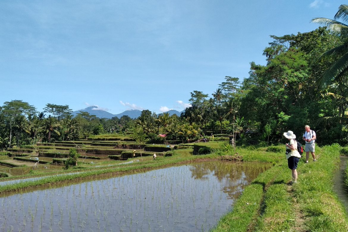 trekking in rural bali area