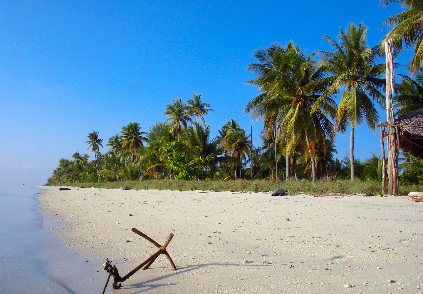 Enjoy the Tranquility at Hoga Island Beach