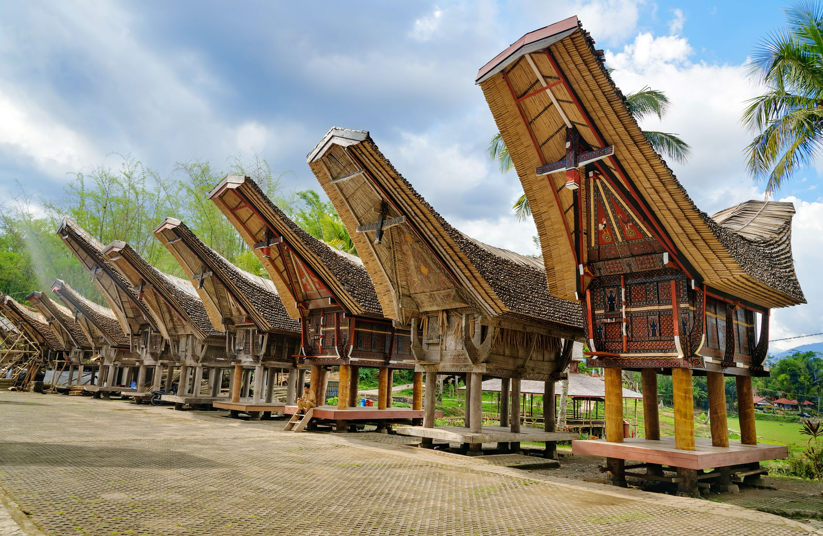 exotic land of tana toraja in sulawesi