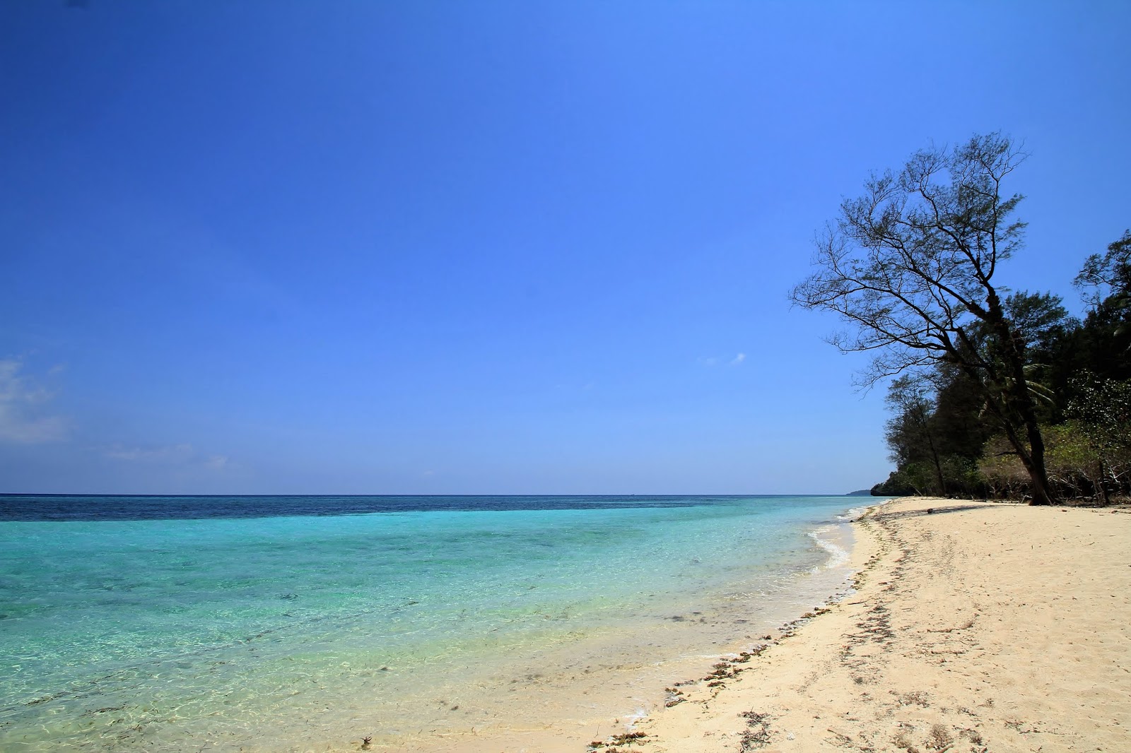 koguna beach panorama in buton
