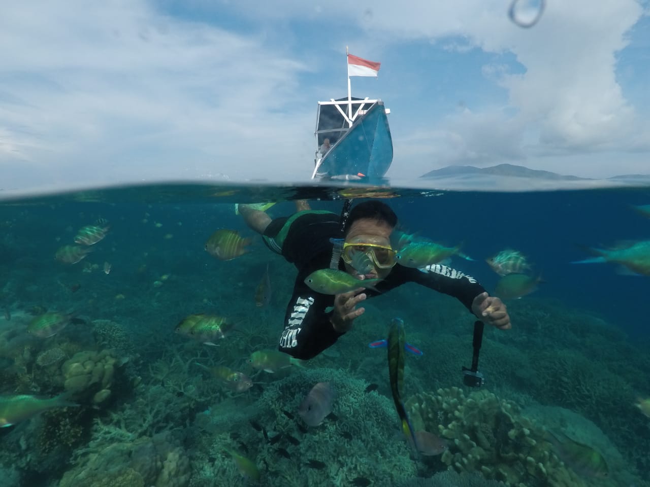 Explore the underwater world of Karimunjawa