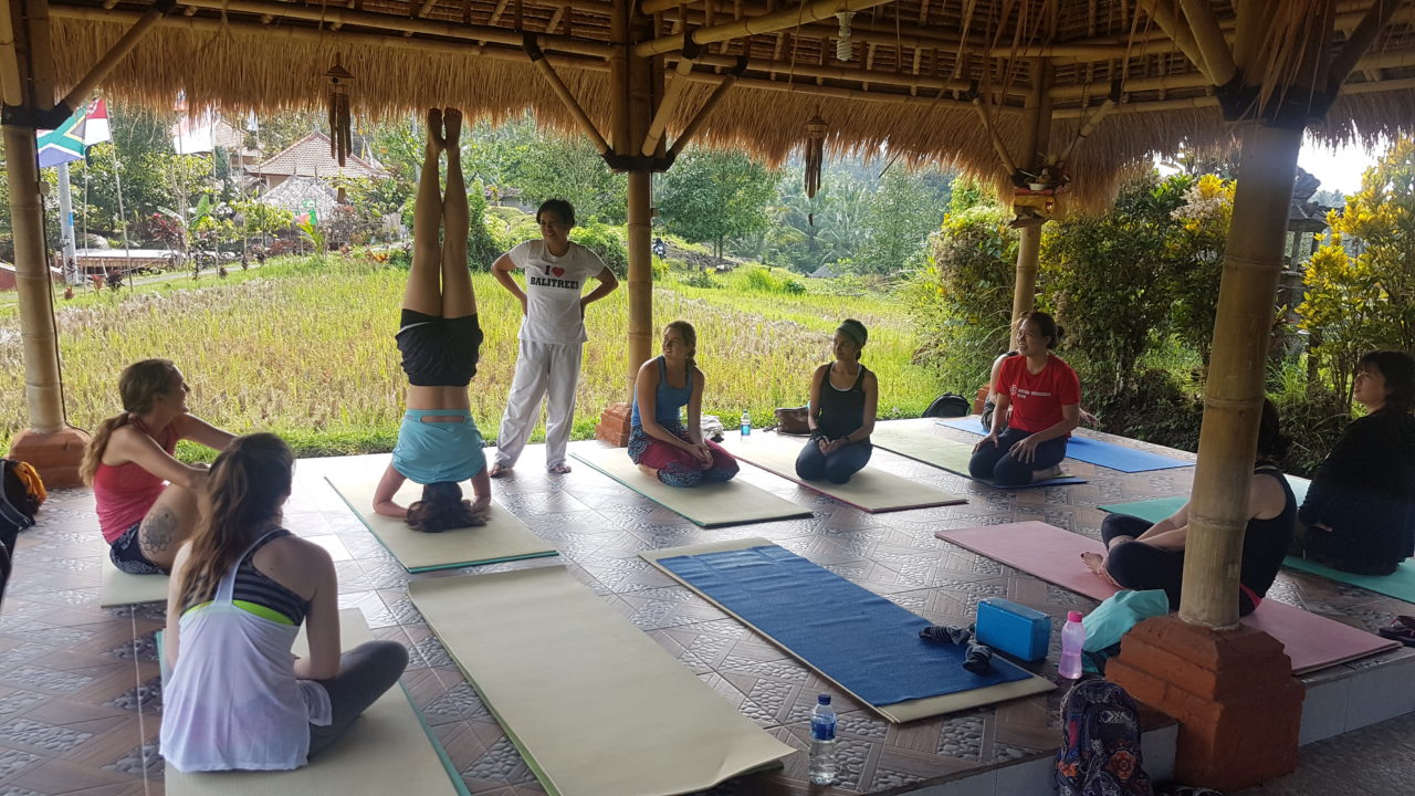 bali lifestyle retreats & yoga