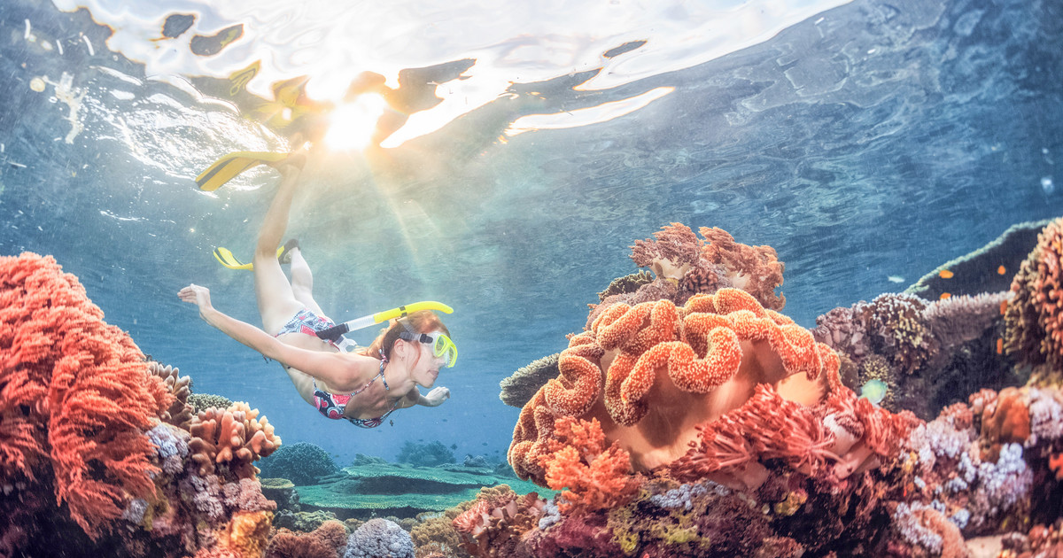 bali snorkeling activity