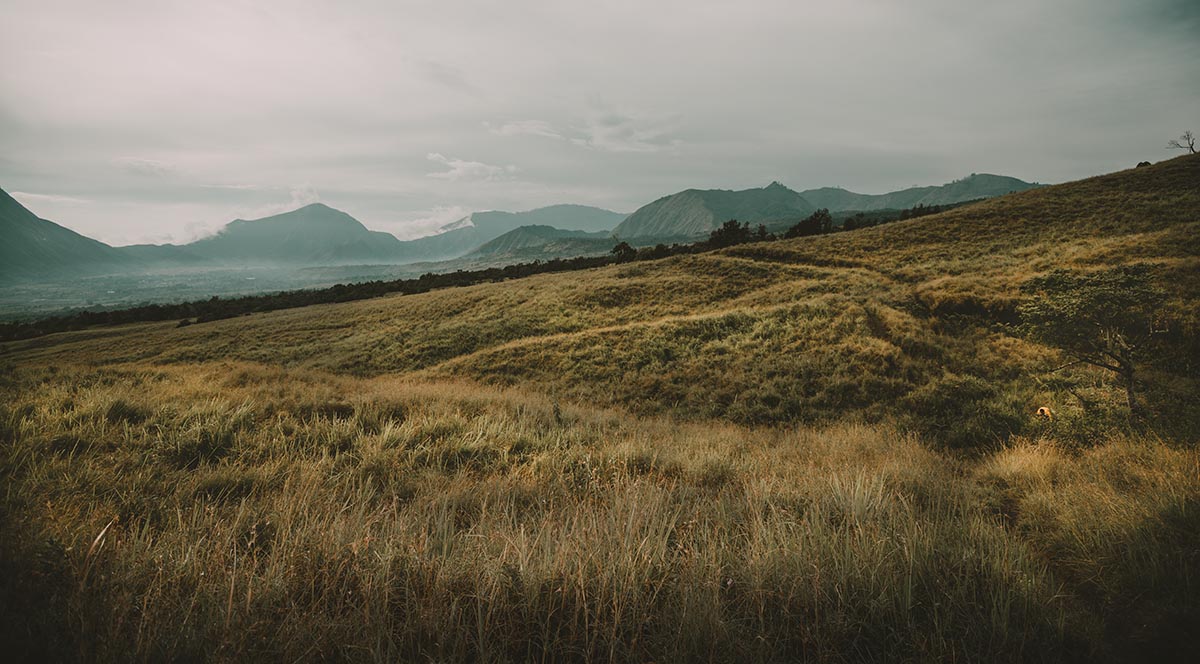 sembalun savanna in rinjani