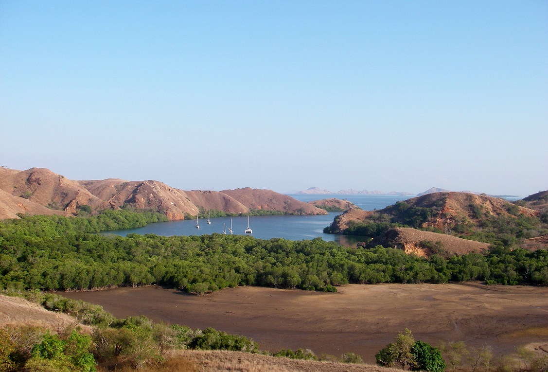 beautiful island of komodo