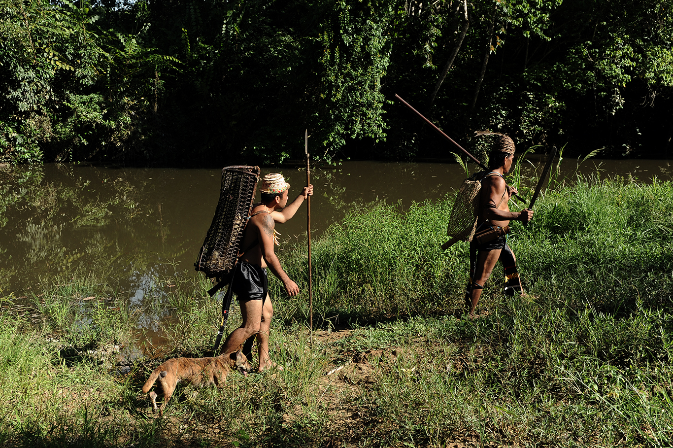 one of dayak tribe ethnic group