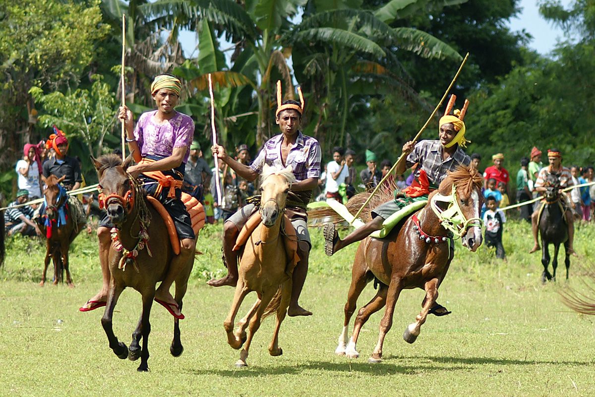 pasola tradition in sumba