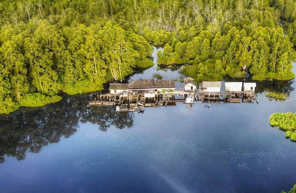 sebangau national park