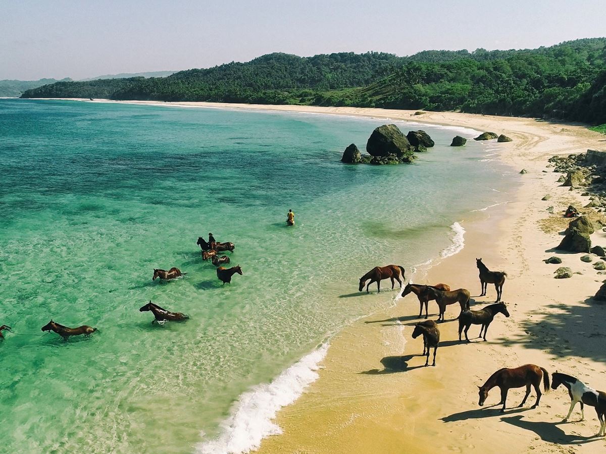 the charming sumba island