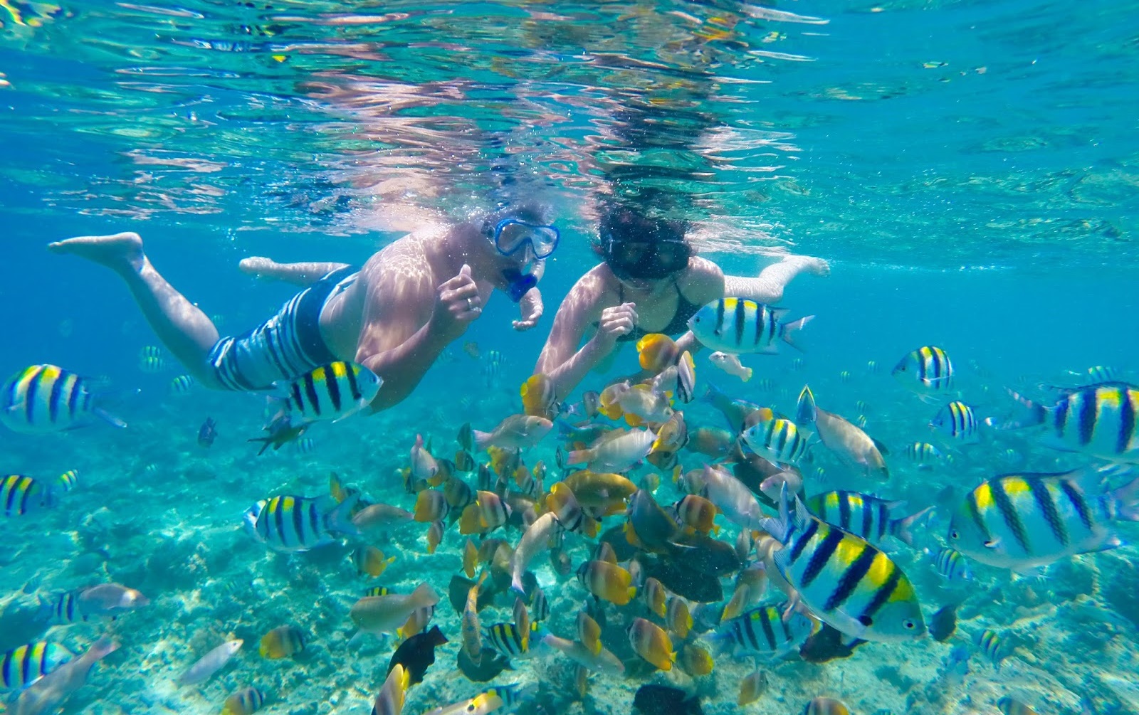 The snorkeling spot on Gili Nanggu is on the eastern part of the island