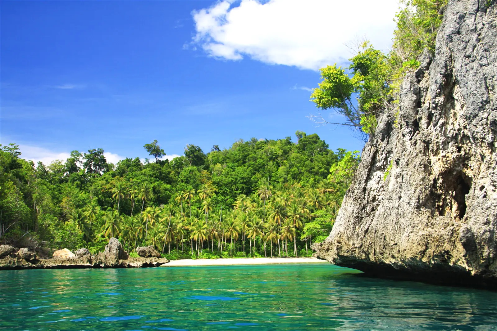 amazing togean underwater tour