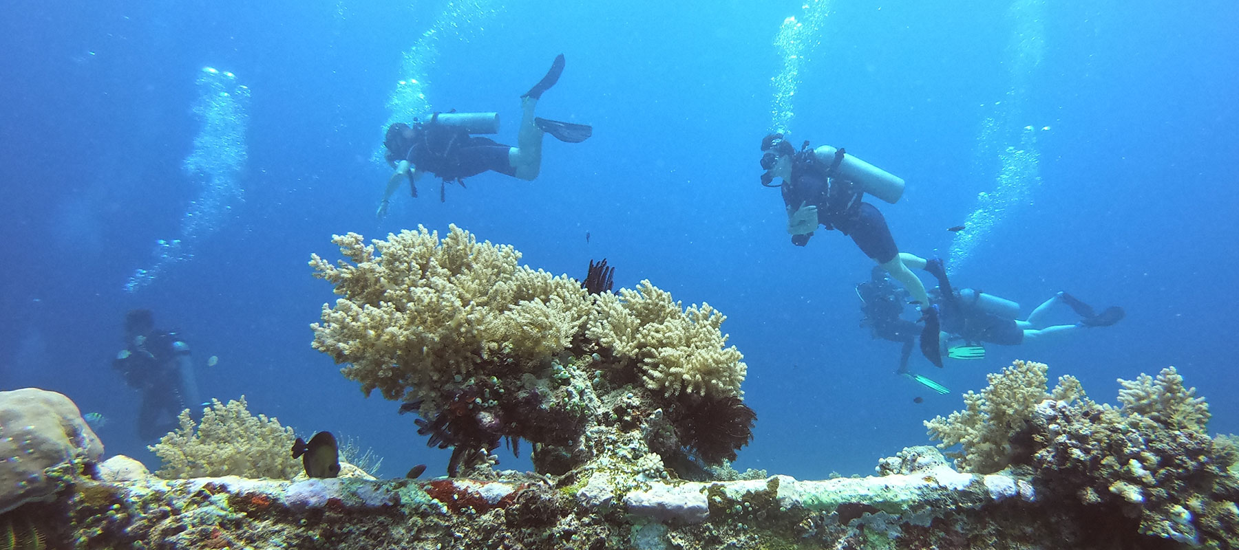 diving in gili nanggu waters