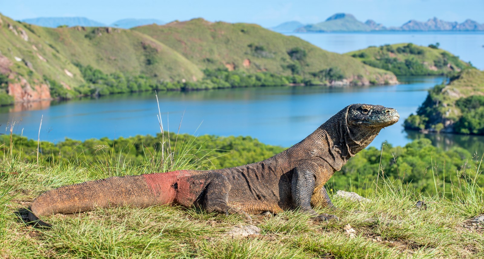 komodo national park