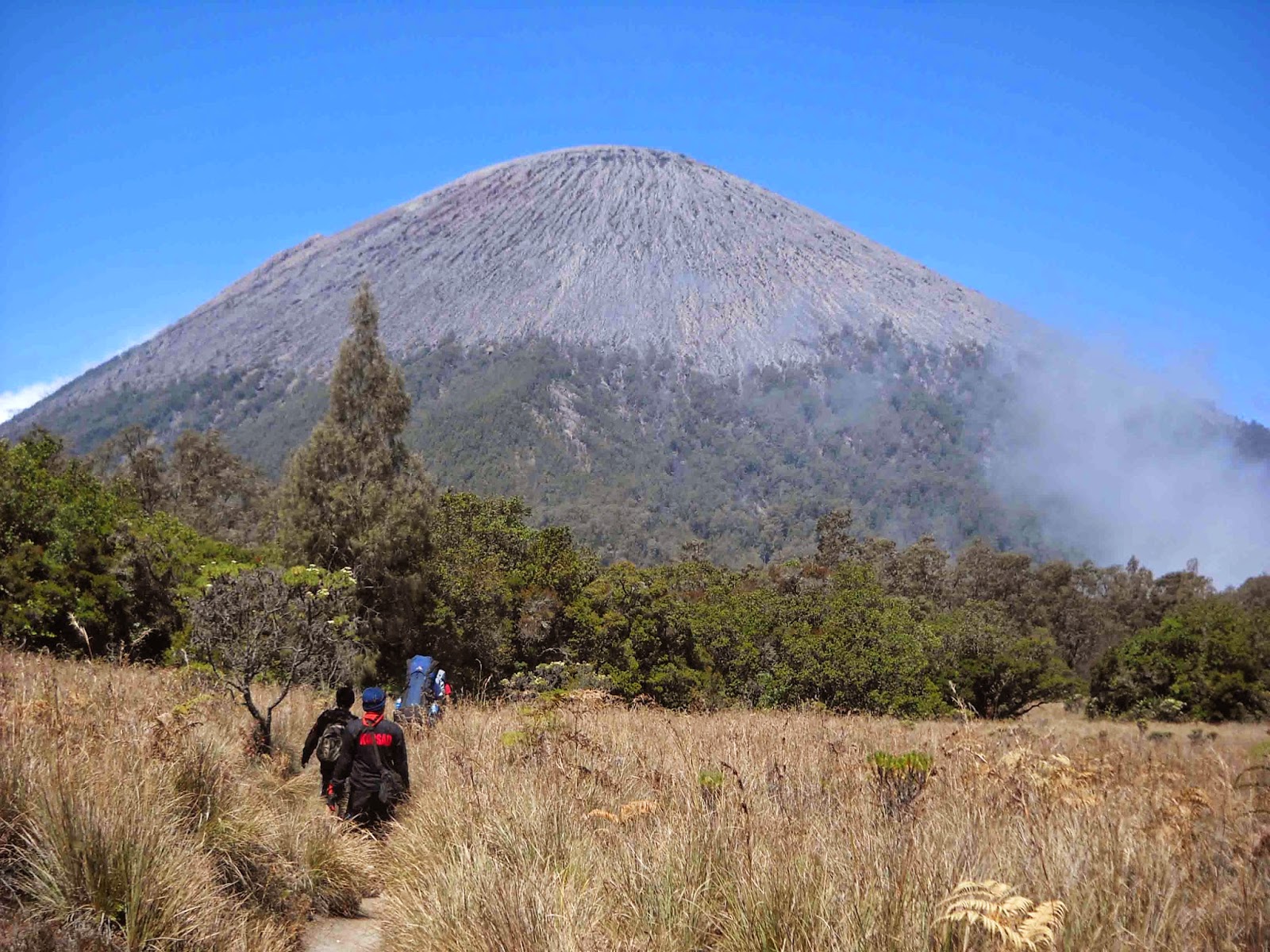 mount semeru trekking activity in bts national park