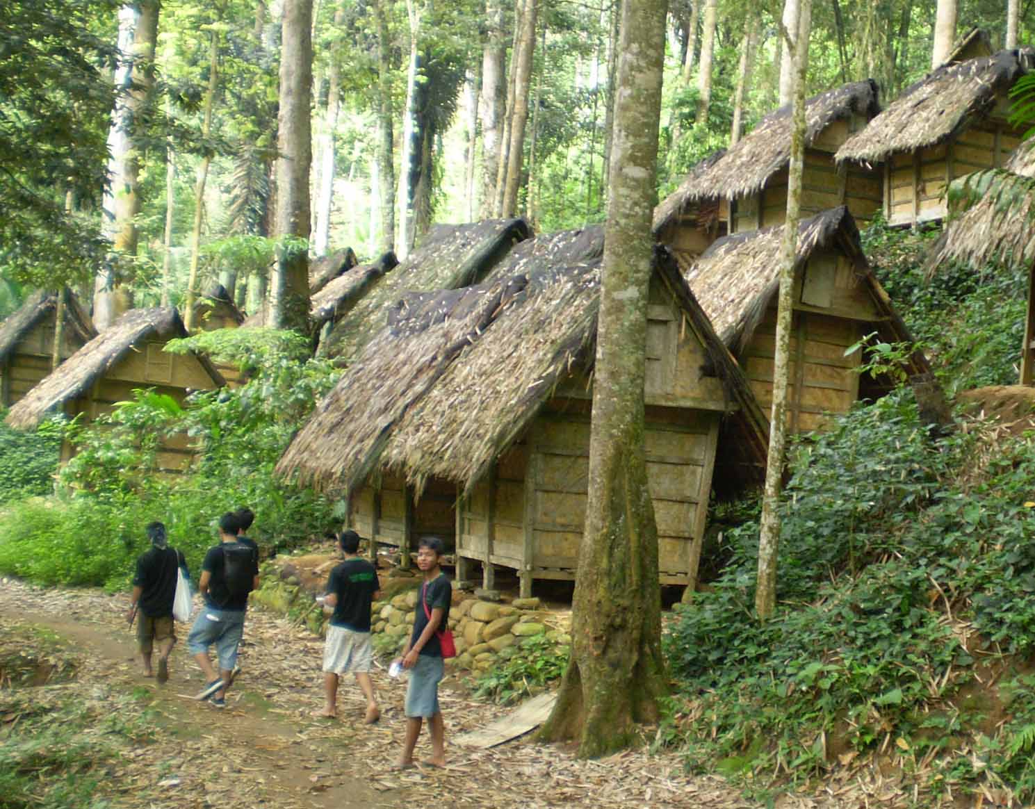 traditional baduy tribe houses