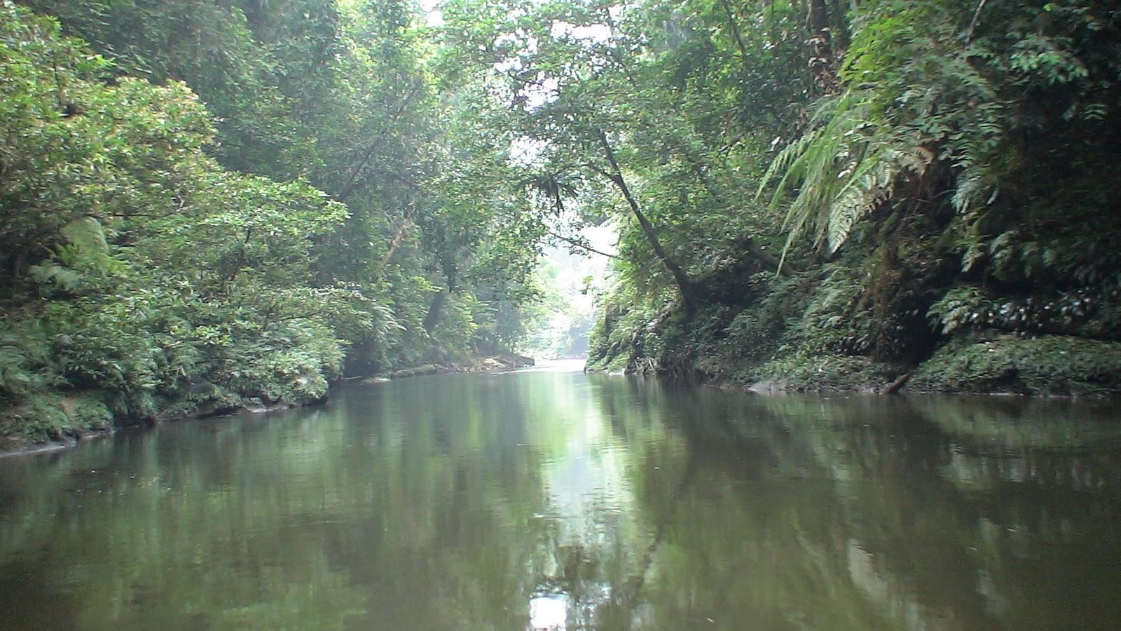 Bukit Tigapuluh National Park holds valuable extraordinary flora and fauna