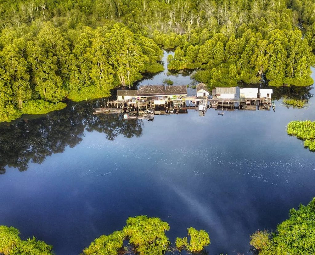Sebangau National Park is a peat forest land in Kalimantan